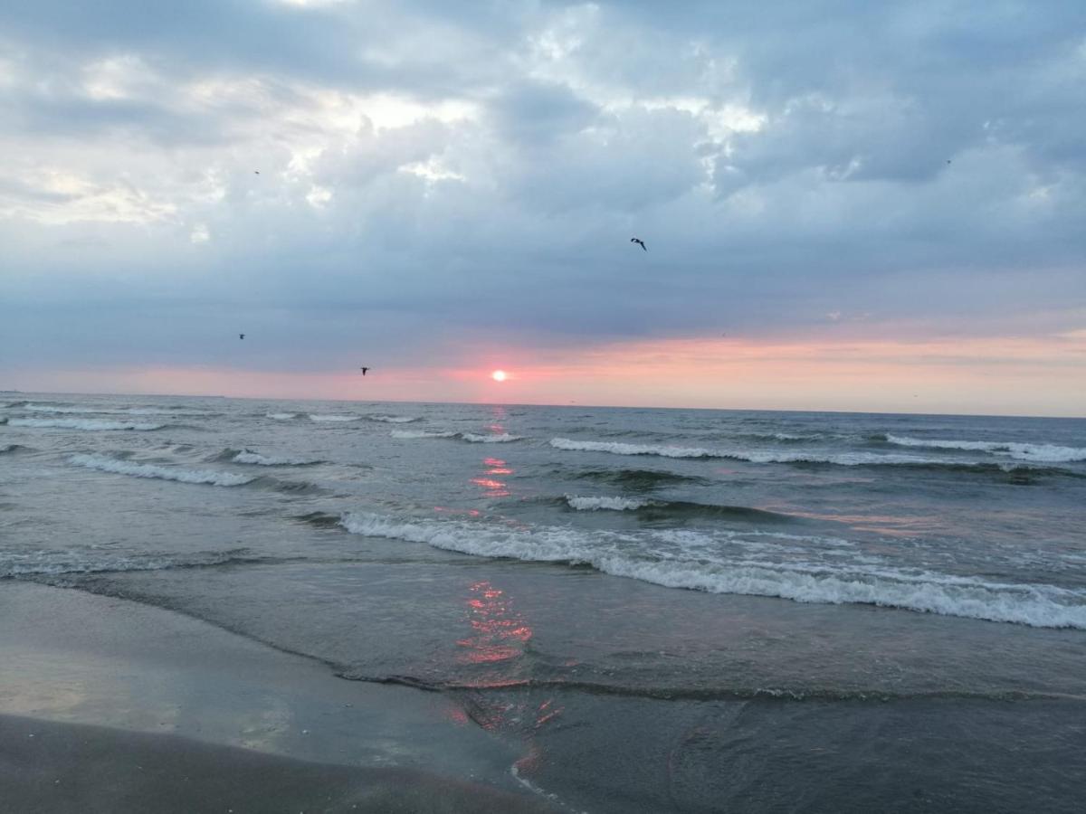 Apartament Summerland Mamaia Luaran gambar